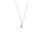 collana oro bianco con ciondolo stella e diamante