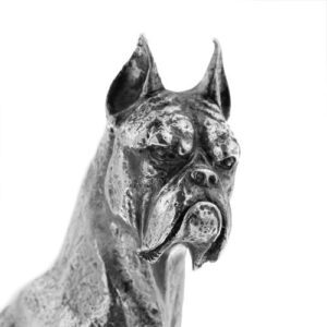 dettaglio faccia di statuetta cane boxer in argento