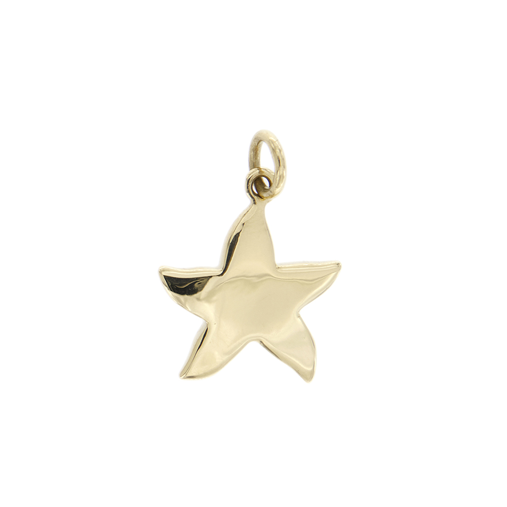 Dodo starfish pendant