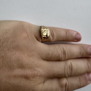 Foto gioiello indossata: anello chevalier in oro gialli da uomo con serpente