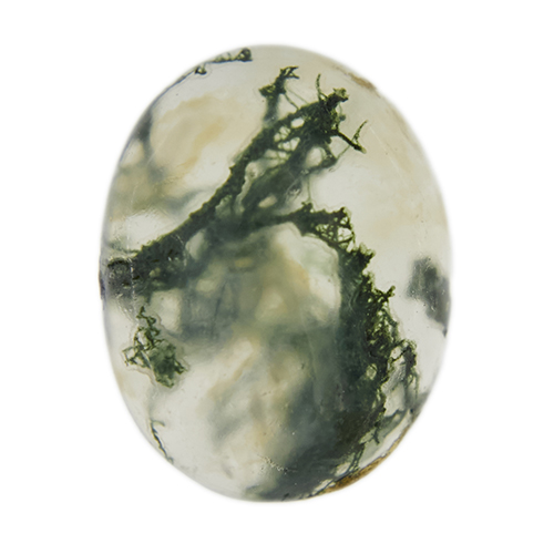 Foto rappresentativa termine glossaro: agata muschiata 