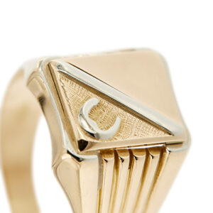 dettaglio zoom di scudo con ferro di cavallo anello uomo due ori